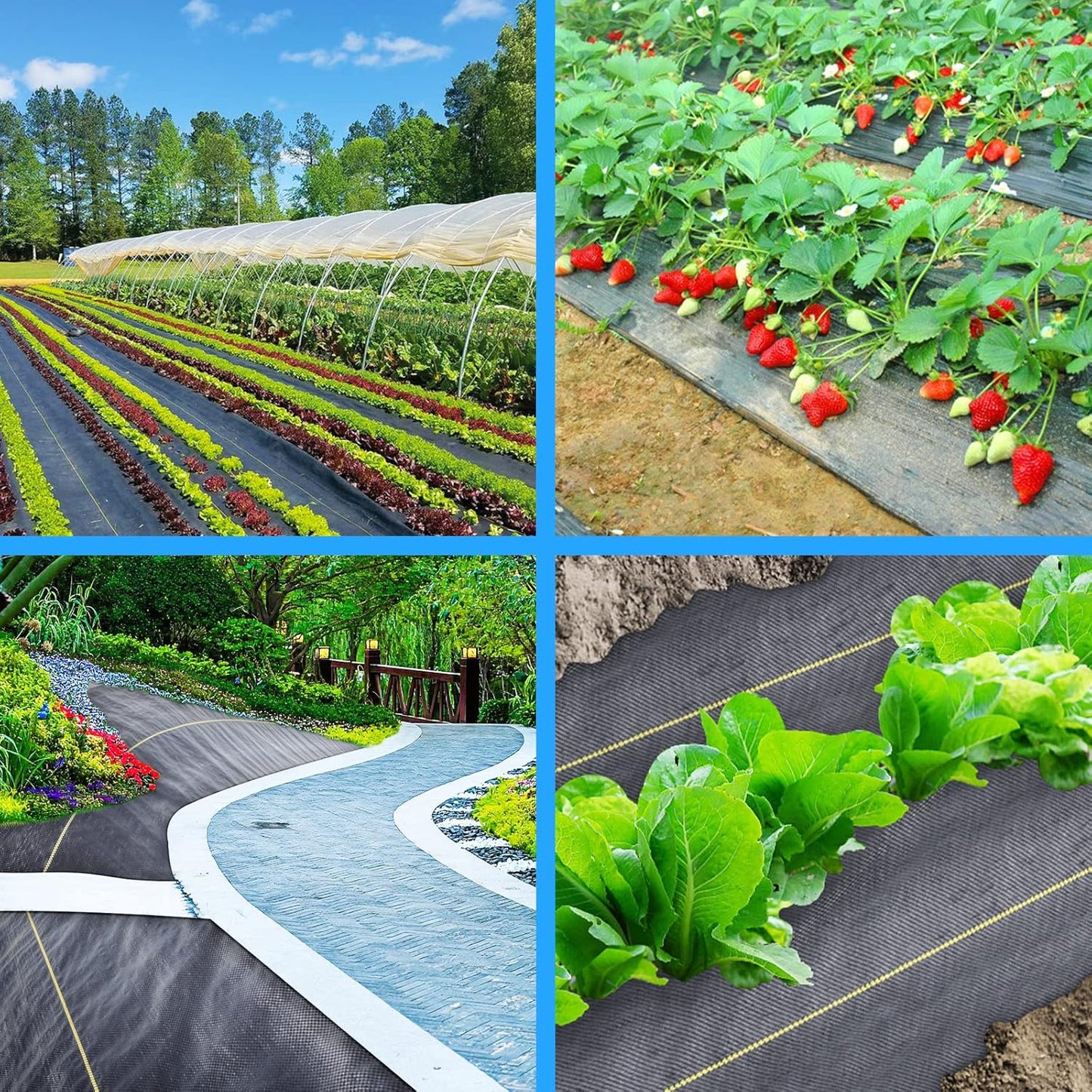 4ft x300ft Black Weed Barrier 3.5oz Landscape Premium Fabric-Heavy Duty Woven Ground Cloth with Superior Permeability Weed Control Convenient Design - Colors BG