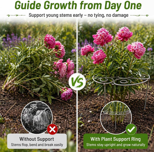 Metal Peony Plant Support Ring – Decorative Flower Support Cage for Garden, Heavy Duty Plant Stakes for Peonies, Roses & Tall Plants, Outdoor Garden Support (M)