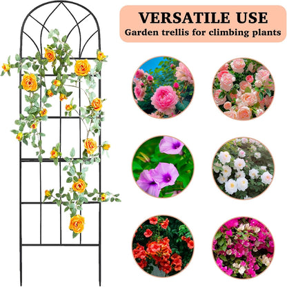 62"x15" Metal Garden Trellis, Black, Durable Powder-Coated, 2 Pack