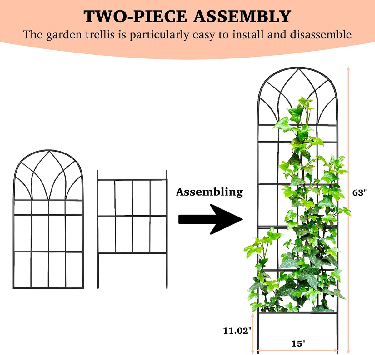 62"x15" Metal Garden Trellis, Black, Durable Powder-Coated, 2 Pack
