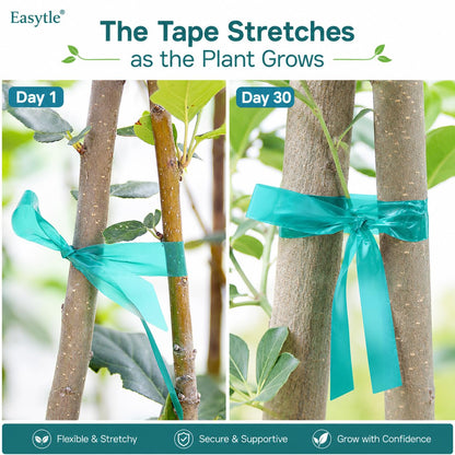 2 Pack x 150 ft Stretch Tie Tape Roll, 1/2" Garden Tie Tape, Thick Sturdy Plant Ribbon Garden Green Vinyl Stake Gardening Tools for Indoor Outdoor Patio Plant Use