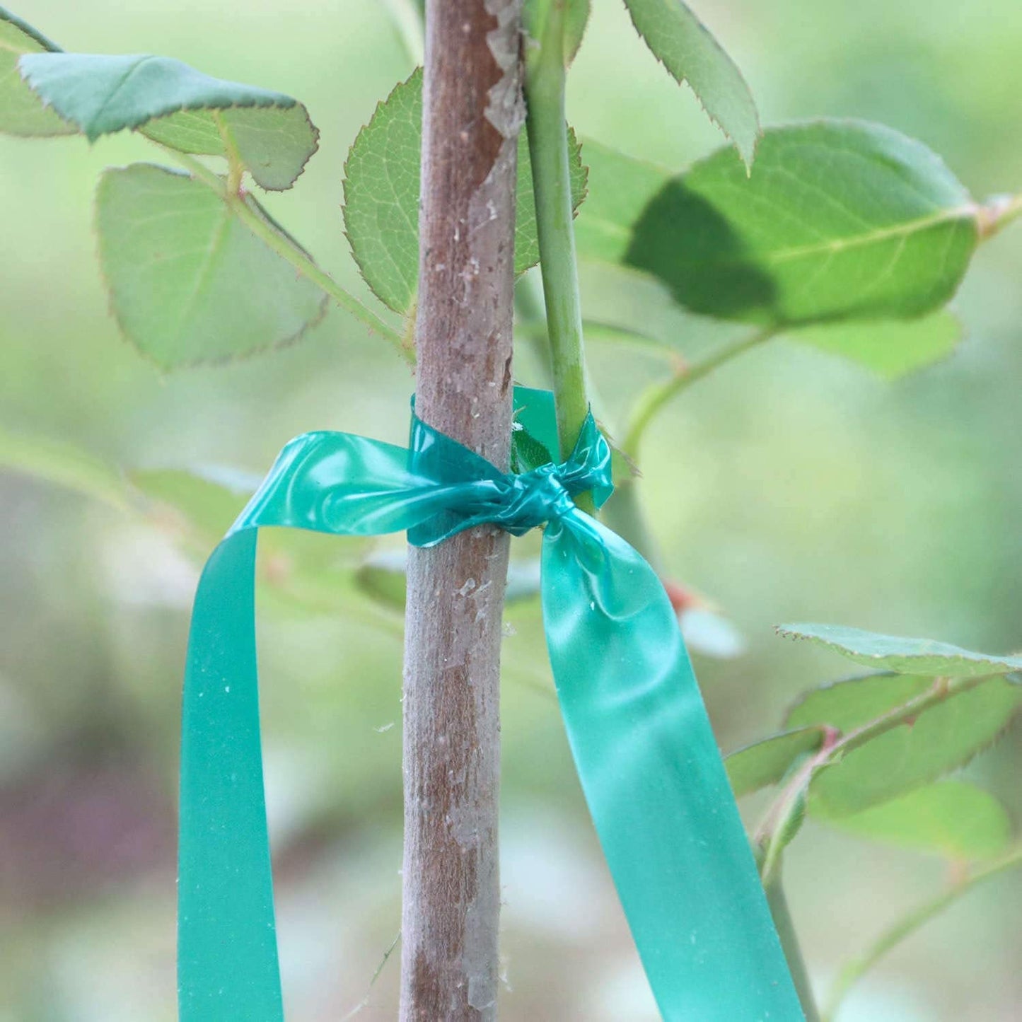 2 Pack x 150 ft Stretch Tie Tape Roll, 1/2" Garden Tie Tape, Thick Sturdy Plant Ribbon Garden Green Vinyl Stake Gardening Tools for Indoor Outdoor Patio Plant Use