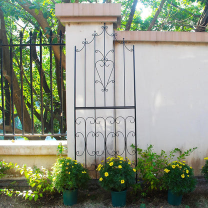 Garden Trellis for Climbing Plants 70.8" H x 25.6" W Metal Premium Quality Material Rust-Resistant Climbing Frame Stylish Garden Addition Outdoor Roses Vine Ivy Clematis Trellises Black