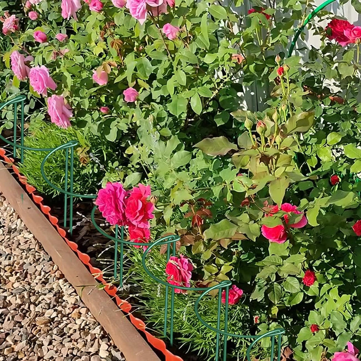 12 Pack Plant Support Stakes, 10" Wide x 16" High Half Round Metal Peony Cages and Support, Green Garden Plant Stake Plant Support Ring Border for Peony Tomato, Hydrangea, Flower Indoor Outdoor