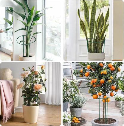 12 Pack Plant Support Stakes, 10" Wide x 16" High Half Round Metal Peony Cages and Support, Green Garden Plant Stake Plant Support Ring Border for Peony Tomato, Hydrangea, Flower Indoor Outdoor