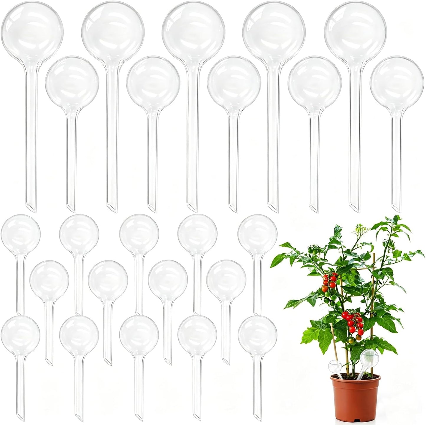 Pynqdfu 24 Pcs ,Clear Plastic Self-Watering Bulbs,Garden Automatic Watering Globes for Plant,Indoor,Outdoor,Graden,Flowers(Large,Medium,Small)