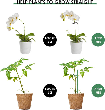 24 Pcs Adjustable Plant Support Stakes Kit for Indoor Plants, 12 Inch Orchid Sticks and Clips Set Bendable Single Stem Support Sticks, Small Plant Stakes for Garden Potted Plants Orchid Rose Peony