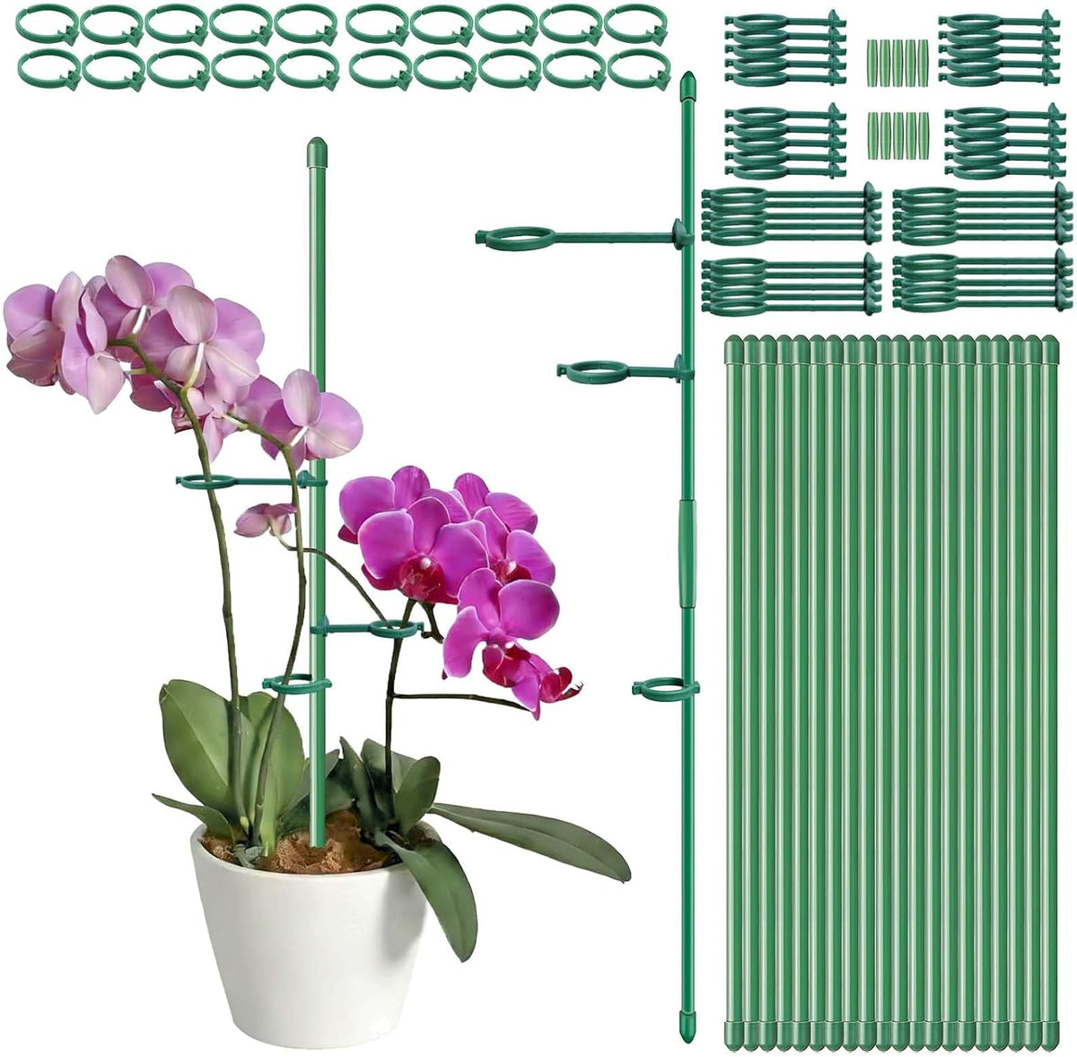 24 Pcs Adjustable Plant Support Stakes Kit for Indoor Plants, 12 Inch Orchid Sticks and Clips Set Bendable Single Stem Support Sticks, Small Plant Stakes for Garden Potted Plants Orchid Rose Peony