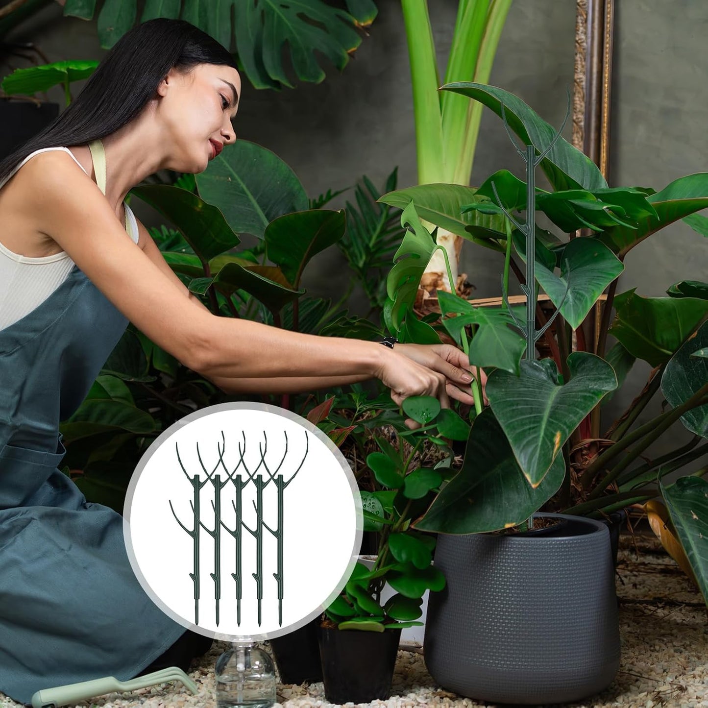 5 Pack Monstera Plants Support Stackable Plant Support Stakes