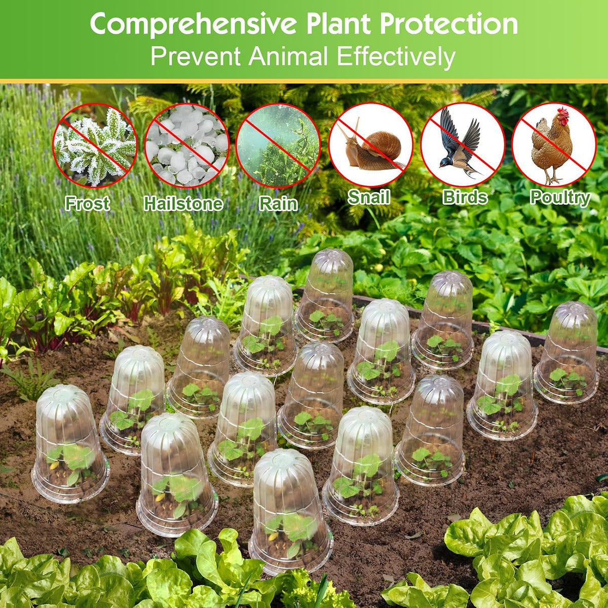 20 Pcs Upgraded Transparent Garden Cloches for Plants, Reusable Plant Covers, Plant Protectors from Animals for Garden Plants, Plant Covers Freeze Protection, Compatible with Slug Collar