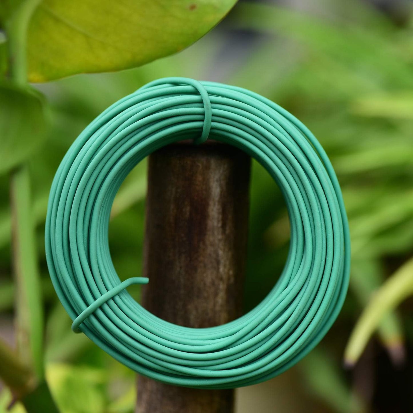 100 Feet Soft Tie for Plants, Green Twist Garden Ties Gardening Supplies for Supporting Climbing Plants, Tomatoes, Vegetables, (Diameter - 2.5MM)