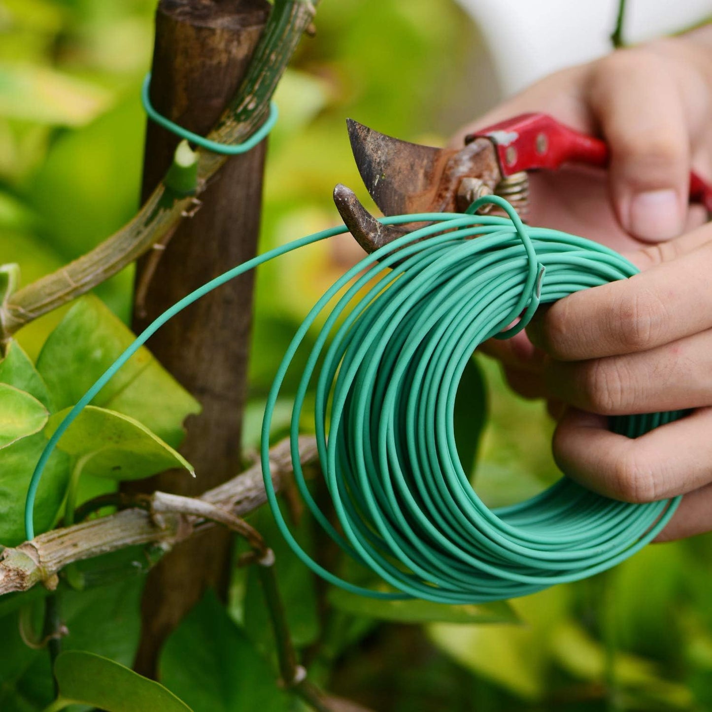 100 Feet Soft Tie for Plants, Green Twist Garden Ties Gardening Supplies for Supporting Climbing Plants, Tomatoes, Vegetables, (Diameter - 2.5MM)