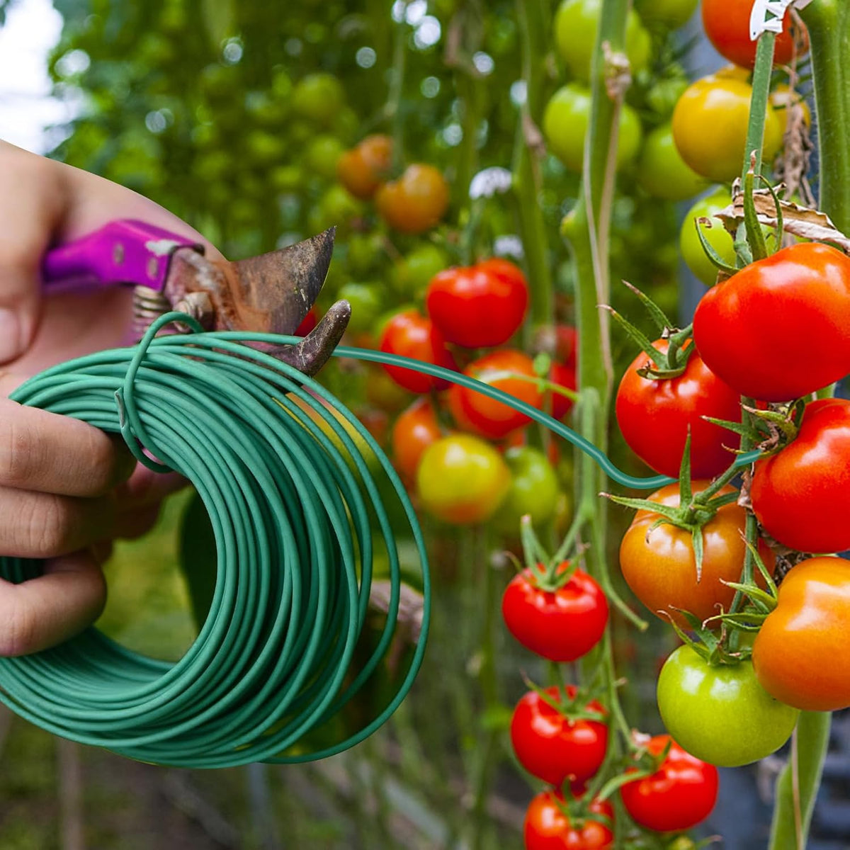 100 Feet Soft Tie for Plants, Green Twist Garden Ties Gardening Supplies for Supporting Climbing Plants, Tomatoes, Vegetables, (Diameter - 2.5MM)