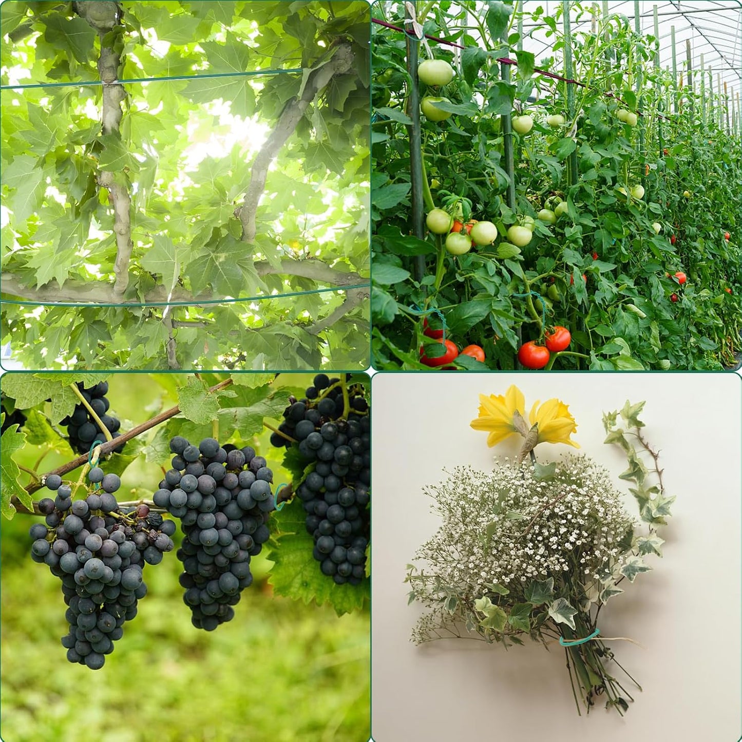 100 Feet Soft Tie for Plants, Green Twist Garden Ties Gardening Supplies for Supporting Climbing Plants, Tomatoes, Vegetables, (Diameter - 2.5MM)
