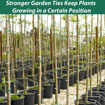 100 Feet Soft Tie for Plants, Green Twist Garden Ties Gardening Supplies for Supporting Climbing Plants, Tomatoes, Vegetables, (Diameter - 2.5MM)