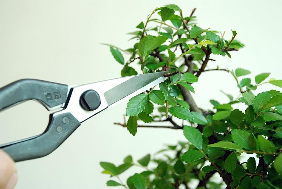 Professional Snips, No.207 (Standard Version)