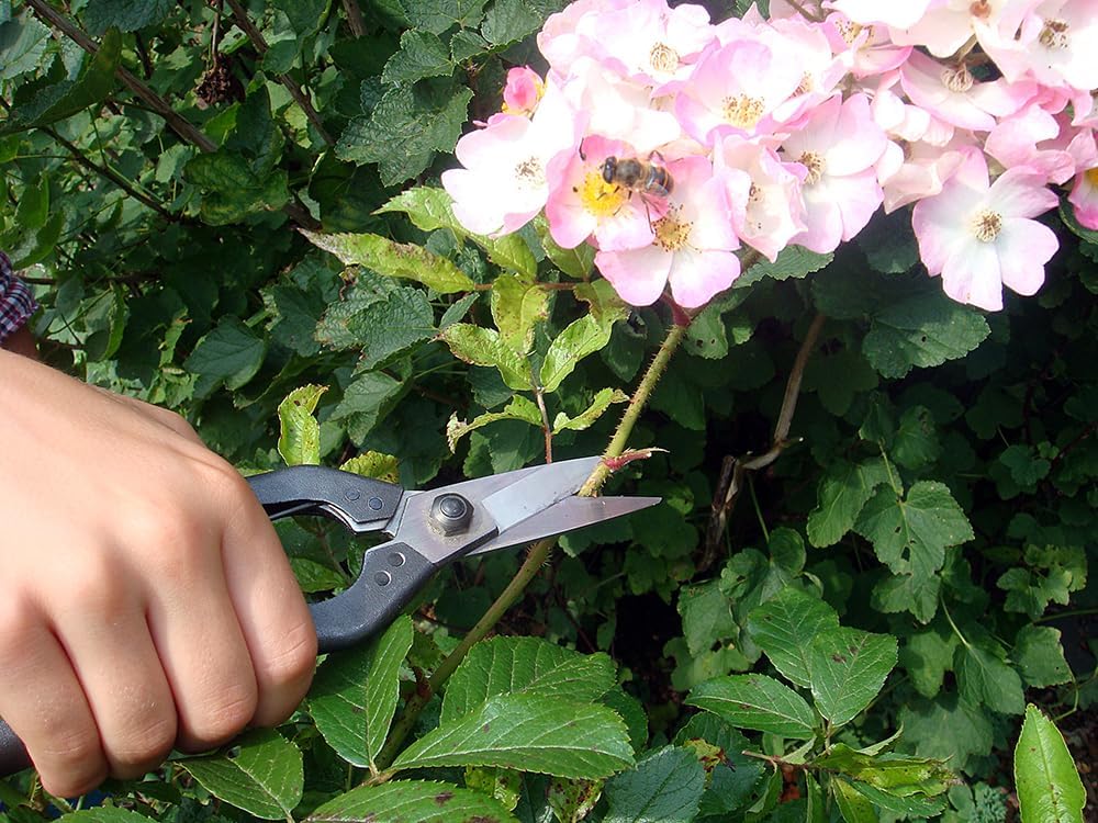 Professional Snips, No.207 (Standard Version)