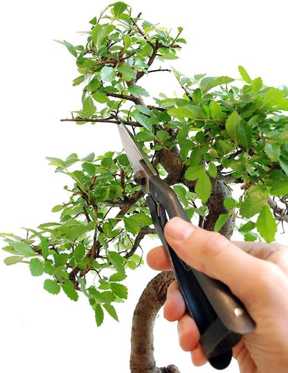 Professional Snips, No.207 (Standard Version)
