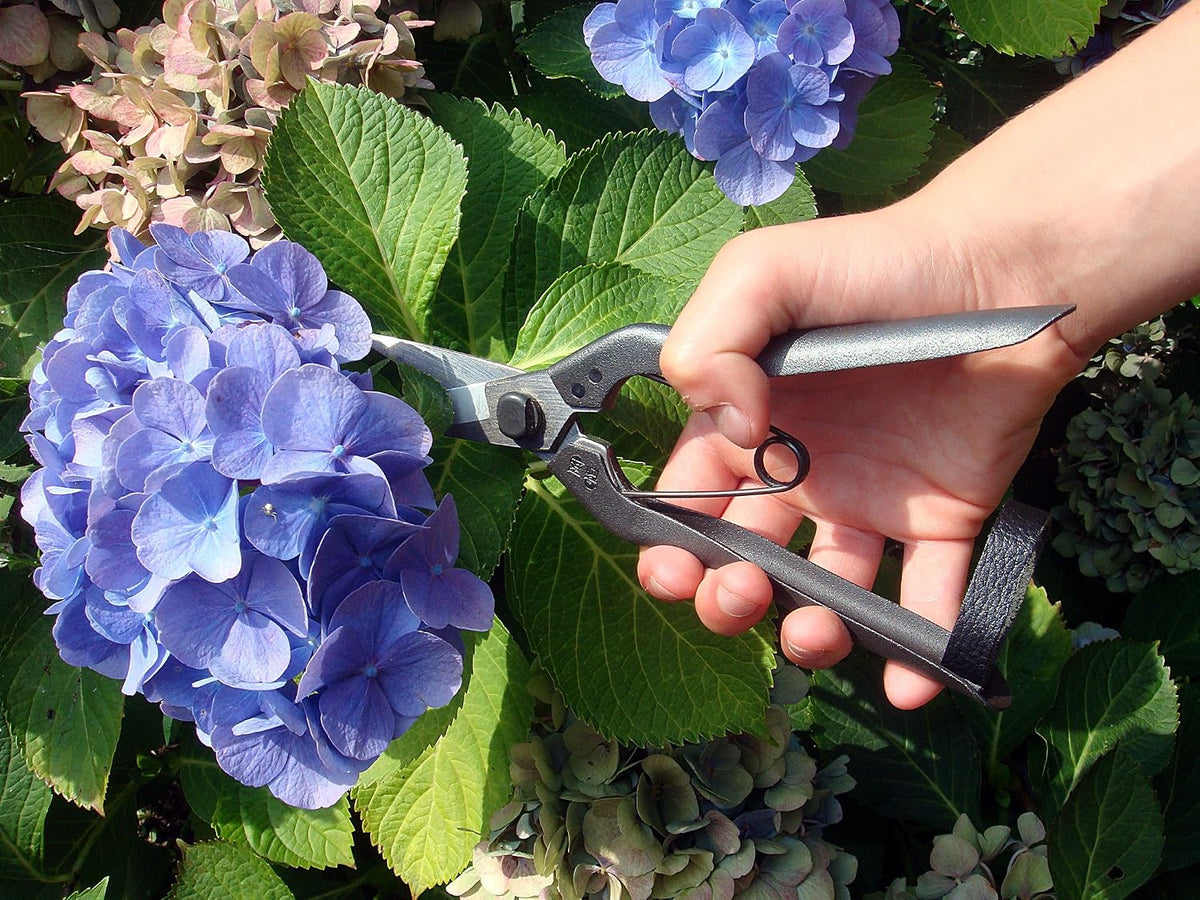 Professional Snips, No.207 (Standard Version)
