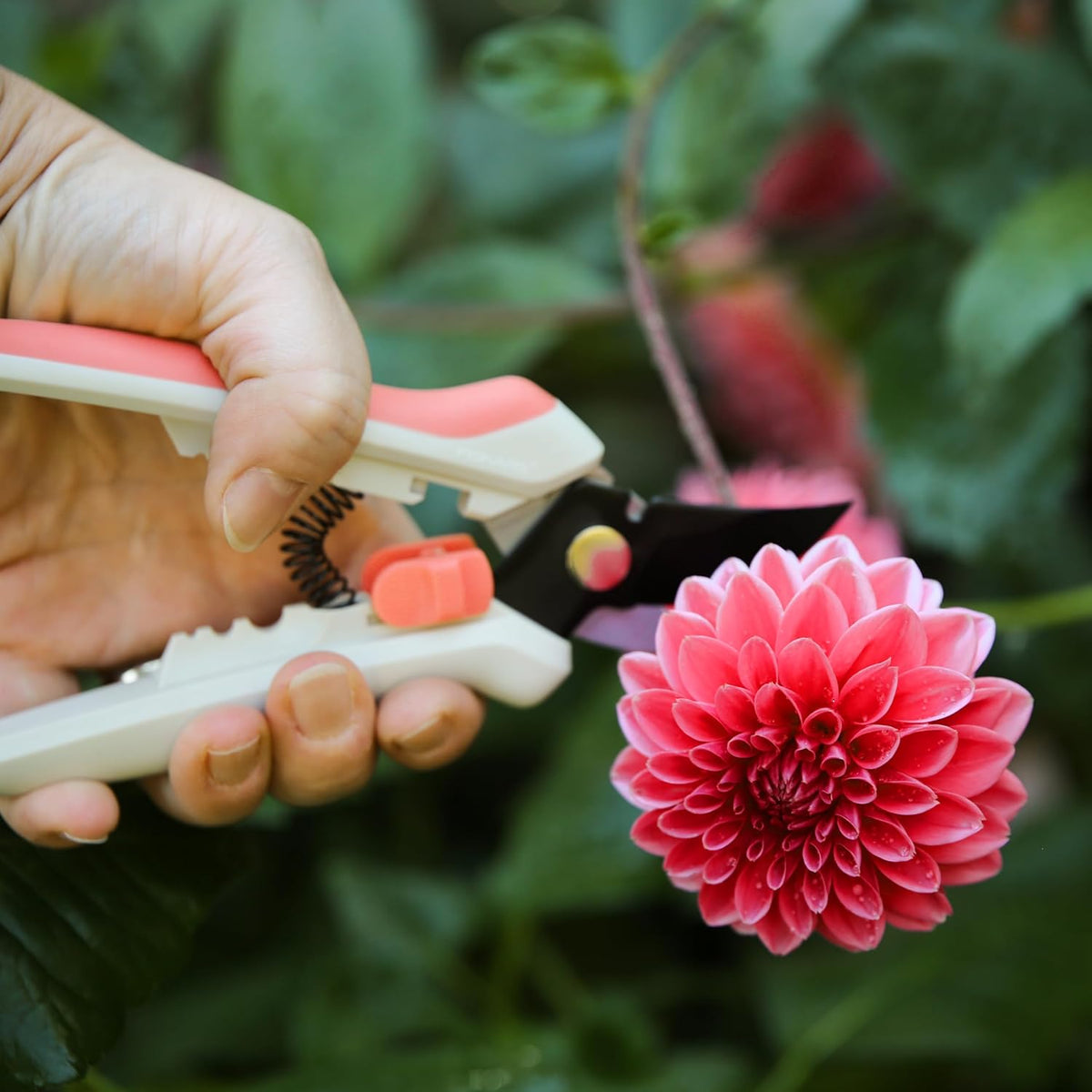 Floral Pruning Shears, Gardening Gifts for Women, Plant Cutting Scissors for Deadheading, Rose Petal Pink