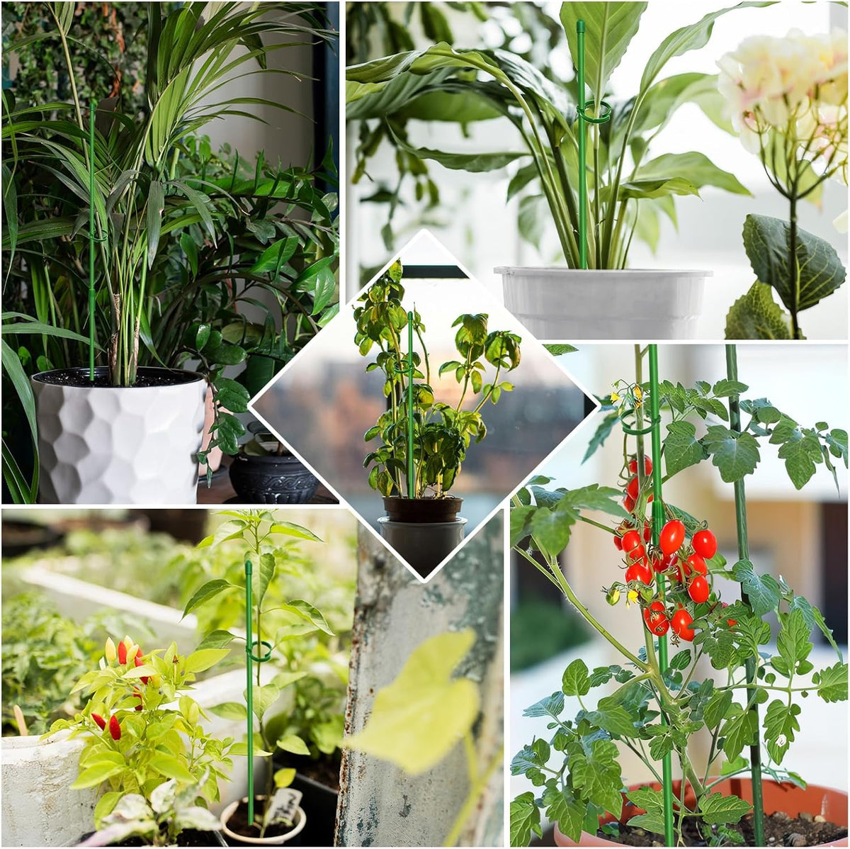 Plant Stakes, 20 Pcs Plant Sticks Stakes Support