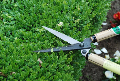 Precision Hedge Shears 6" Blade, 20" total length