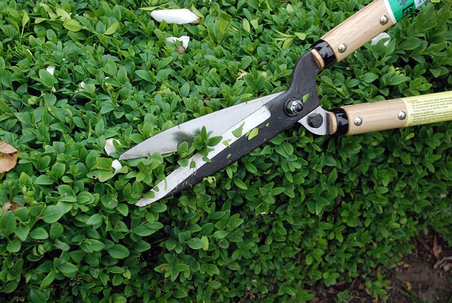 Precision Hedge Shears 6" Blade, 20" total length