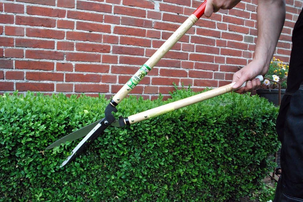 Precision Hedge Shears 6" Blade, 20" total length
