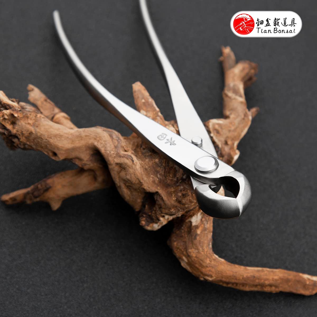 Bonsai Knob Cutter Round Edge Cutter Professional Grade Branch Cutter Alloy Steel Bonsai Tools Equip With Tool Bag (MT-KC-205)