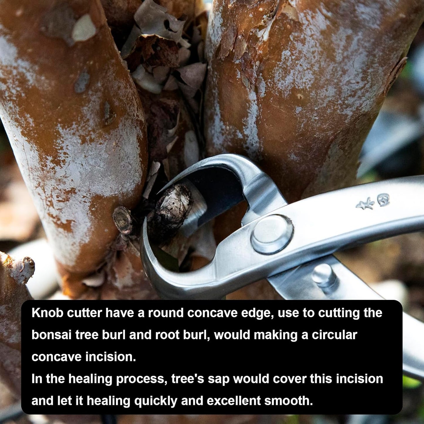 Bonsai Knob Cutter Round Edge Cutter Professional Grade Branch Cutter Alloy Steel Bonsai Tools Equip With Tool Bag (MT-KC-205)
