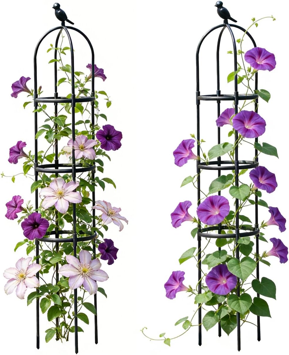 Garden Trellis, 63" Plant Support with Bird Decoration, Plant Trellis for Climbing Vines,Black Decorative Garden Cage for Climbing Roses, Clematis, Vegetables in Patio & Yard-2PACK