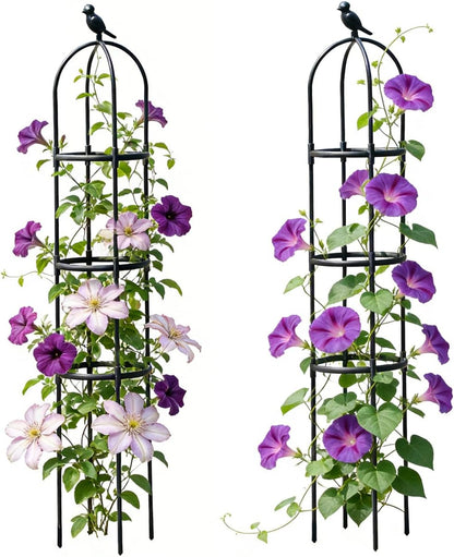 Garden Trellis, 63" Plant Support with Bird Decoration, Plant Trellis for Climbing Vines,Black Decorative Garden Cage for Climbing Roses, Clematis, Vegetables in Patio & Yard-2PACK