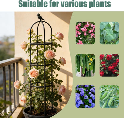 Garden Trellis, 63" Plant Support with Bird Decoration, Plant Trellis for Climbing Vines,Black Decorative Garden Cage for Climbing Roses, Clematis, Vegetables in Patio & Yard-2PACK