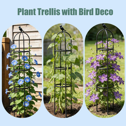 Garden Trellis, 63" Plant Support with Bird Decoration, Plant Trellis for Climbing Vines,Black Decorative Garden Cage for Climbing Roses, Clematis, Vegetables in Patio & Yard-2PACK