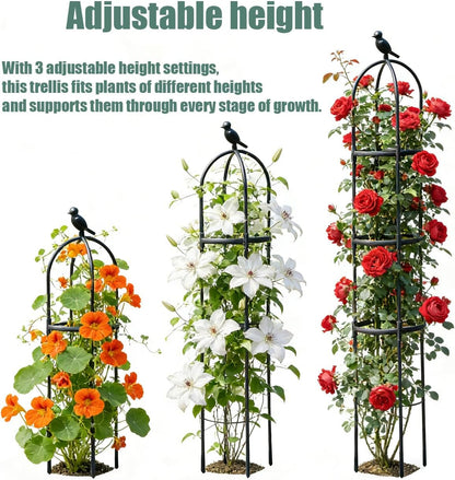Garden Trellis, 63" Plant Support with Bird Decoration, Plant Trellis for Climbing Vines,Black Decorative Garden Cage for Climbing Roses, Clematis, Vegetables in Patio & Yard-2PACK