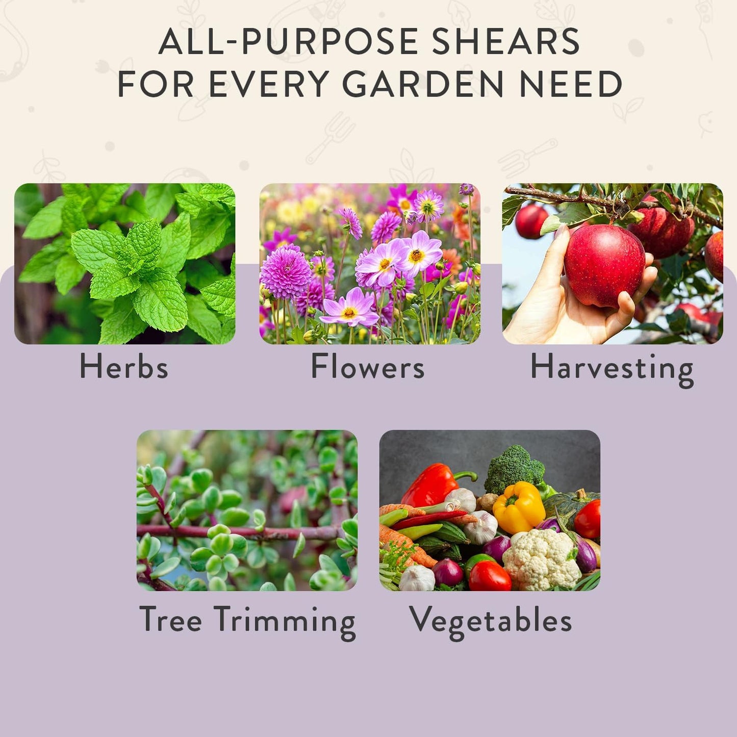 Pruning Shears- Garden Snips - Herb Scissors- Lavender 1-Pack