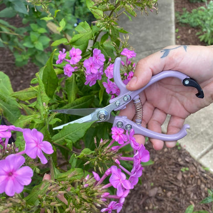 Pruning Shears- Garden Snips - Herb Scissors- Lavender 1-Pack