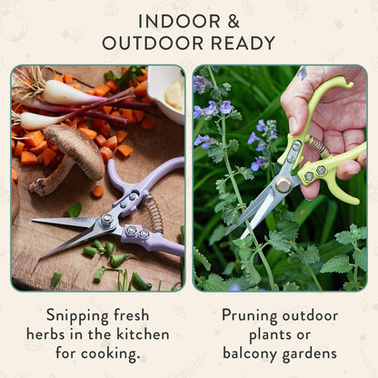 Pruning Shears- Garden Snips - Herb Scissors- Lavender 1-Pack