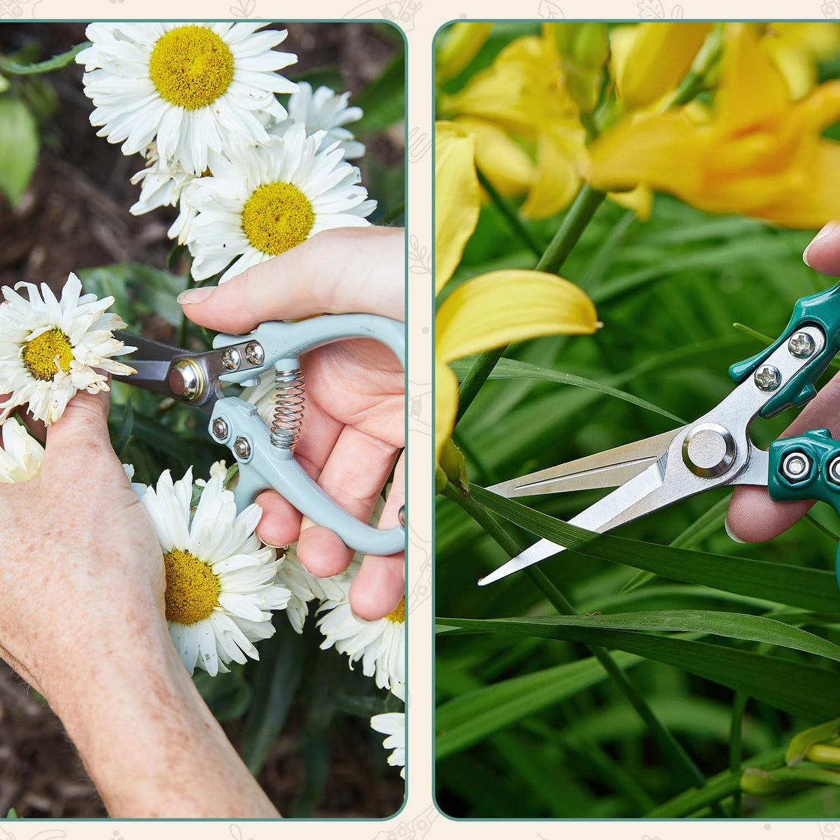 Pruning Shears- Garden Snips - Herb Scissors- Lavender 1-Pack