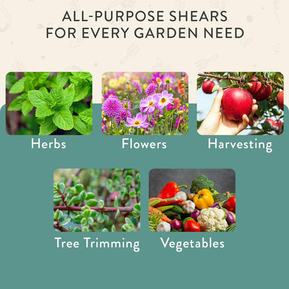 Pruning Shears- Garden Snips - Herb Scissors- Lavender 1-Pack