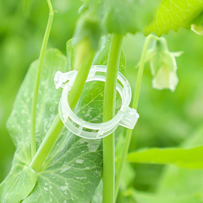 Trellis Clips for Climbing Plants Outdoor,Plant Support Clips Reusable Garden Clips,Tomato Clips, Plastic Trellis Clips,Garden Plant Clips to Grow Upright Makes Plants (50, White)