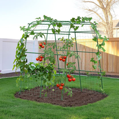 Garden Arch Trellis for Climbing Plants, 6.3ft Tall, Green