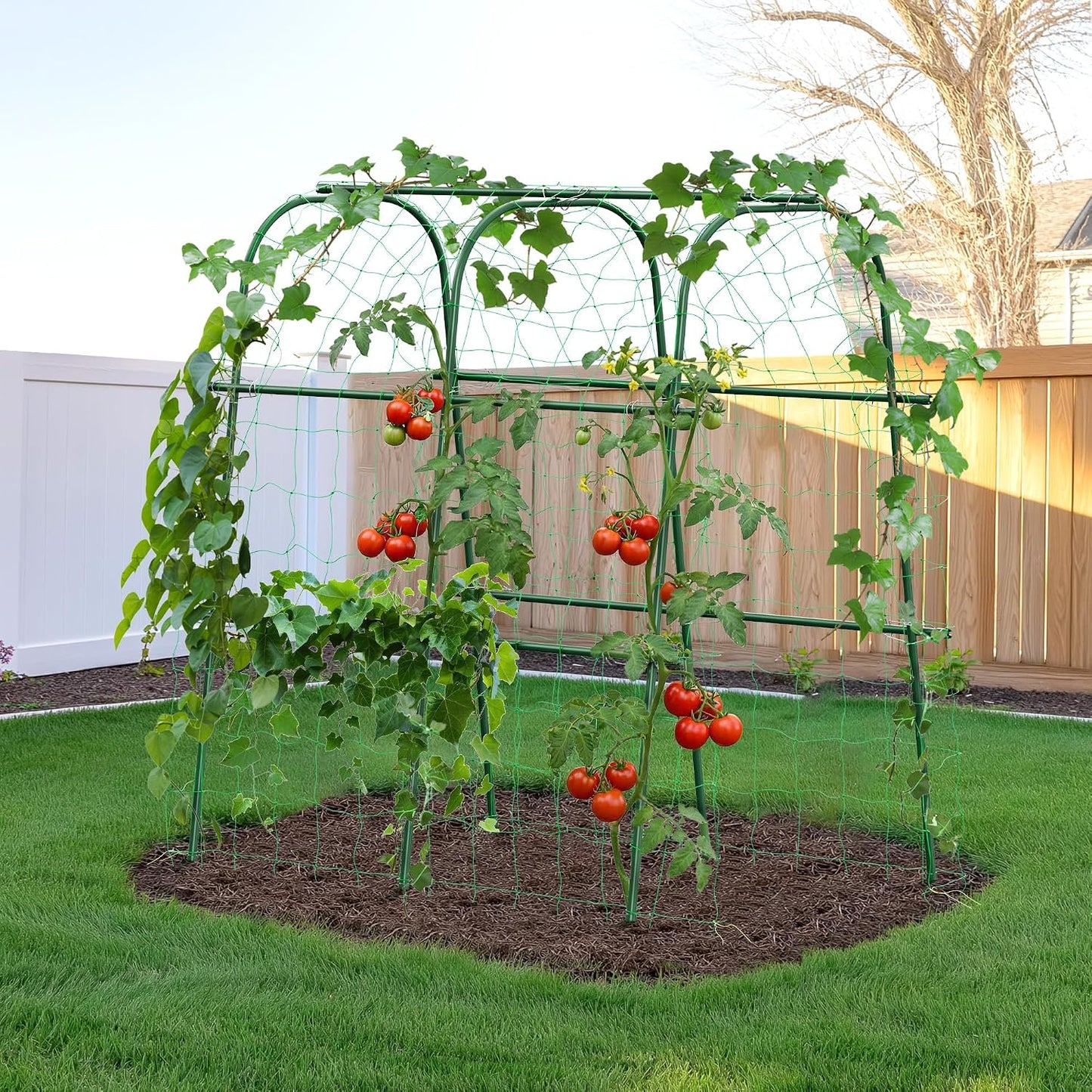 Garden Arch Trellis for Climbing Plants, 6.3ft Tall, Green