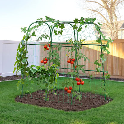 Garden Arch Trellis for Climbing Plants, 6.3ft Tall, Green