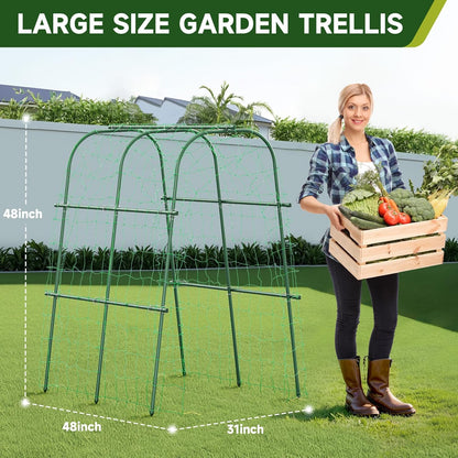 Garden Arch Trellis for Climbing Plants, 6.3ft Tall, Green