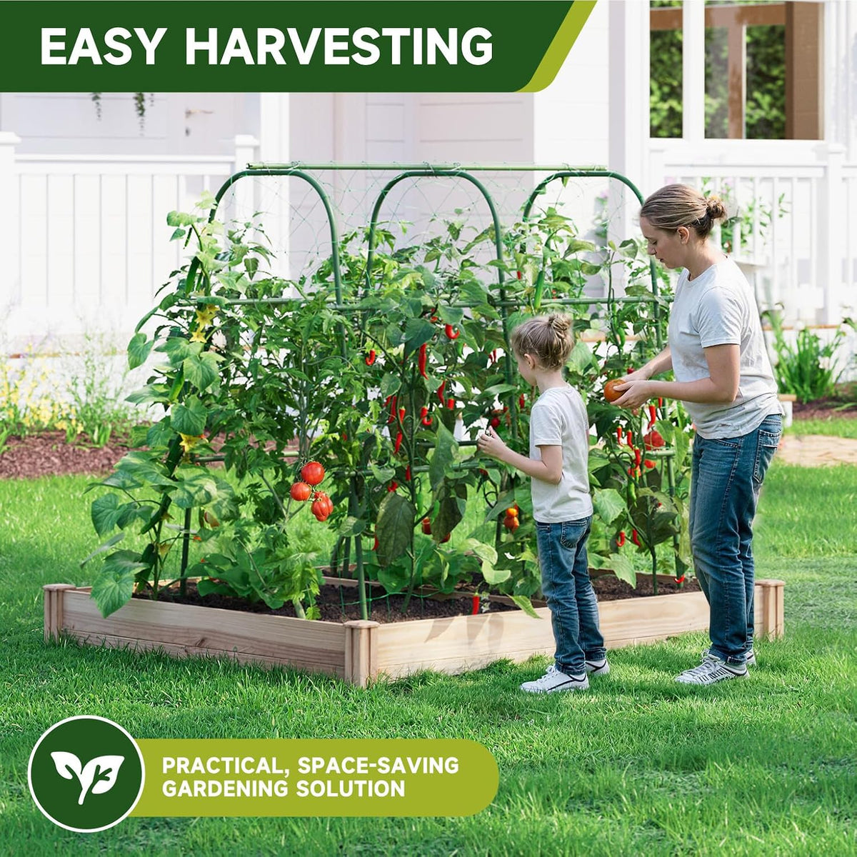 Garden Arch Trellis for Climbing Plants, 6.3ft Tall, Green