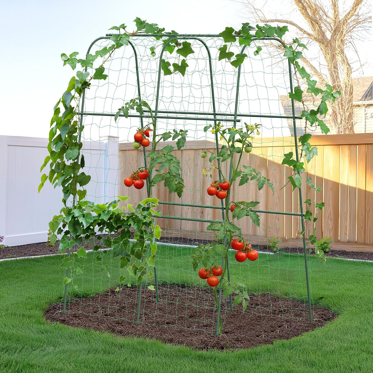 Garden Arch Trellis for Climbing Plants, 6.3ft Tall, Green