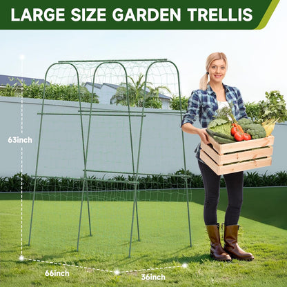 Garden Arch Trellis for Climbing Plants, 6.3ft Tall, Green