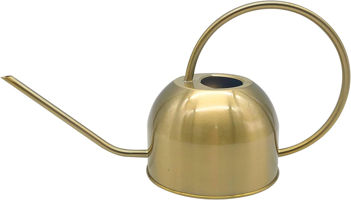 50 oz/1500 ml Stainless Steel Watering Can with Long Spout