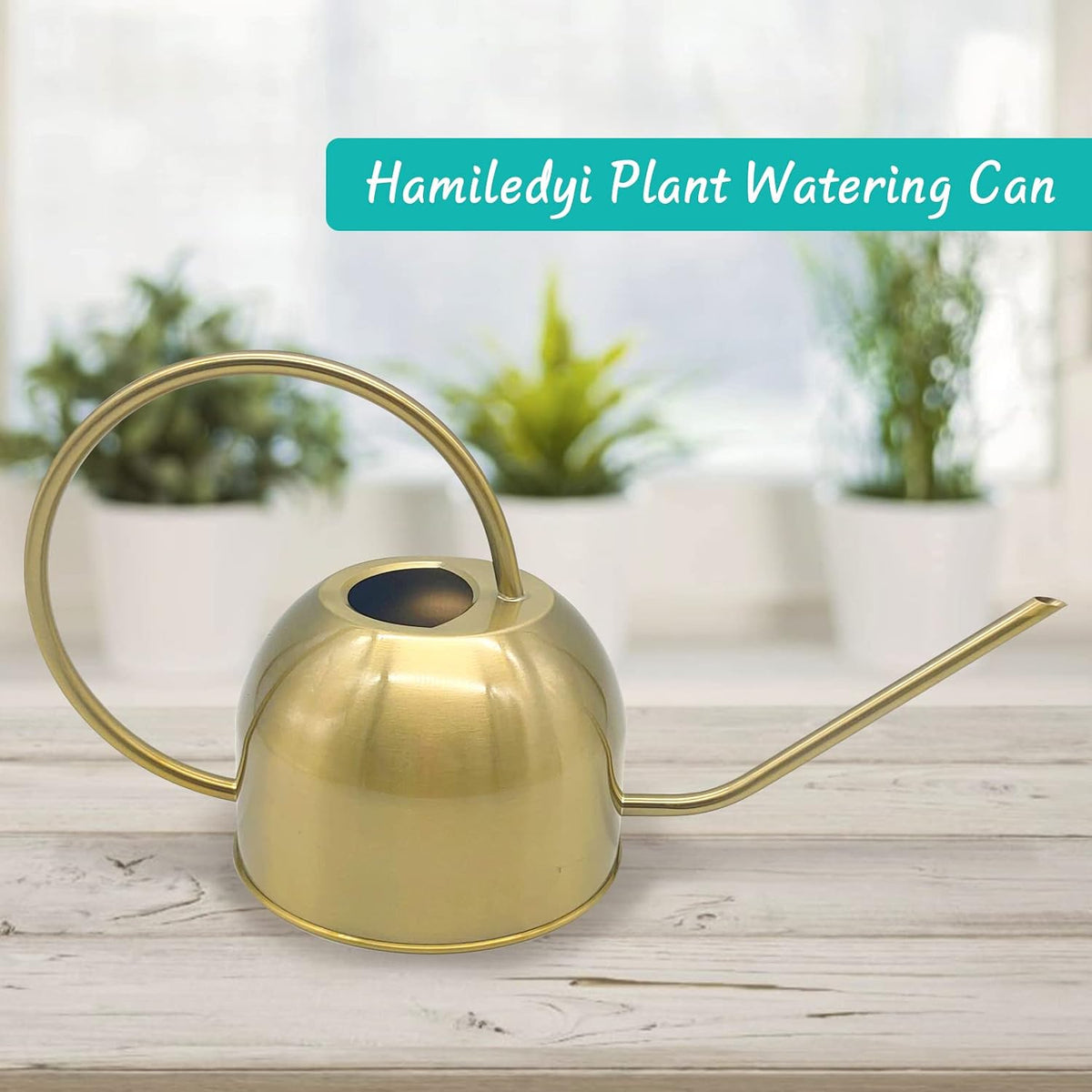 50 oz/1500 ml Stainless Steel Watering Can with Long Spout
